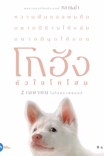 โกฮัง..หัวใจโกโฮม